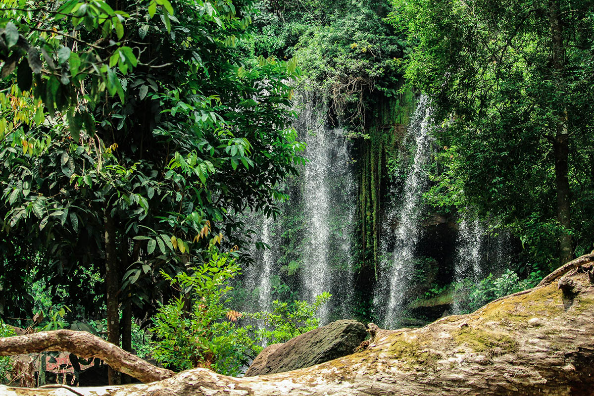 chambok unique eco site